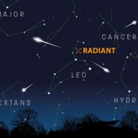 Thumbnail of image used in article