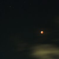 Thumbnail of image used in article