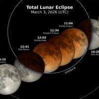 Thumbnail of image used in article