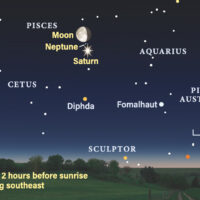 Thumbnail of image used in article