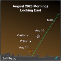 Thumbnail of image used in article