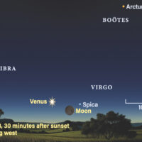 Thumbnail of image used in article