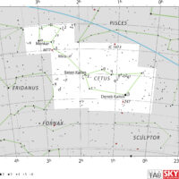 Thumbnail of image used in article